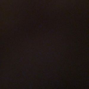 Meet your Posher, Bella